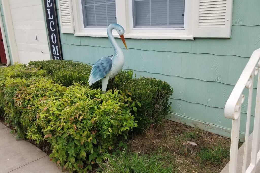 Blue Flamingo'S Charming Home-Heart Of Tulsa2- Cherry St-Expo-11Th 外观 照片